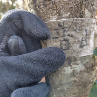 観音山山頂✨️　「観」の字がなくなってた😭