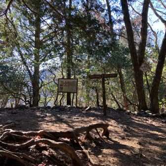 眺望は無いですが、居心地の良い鋸山頂上