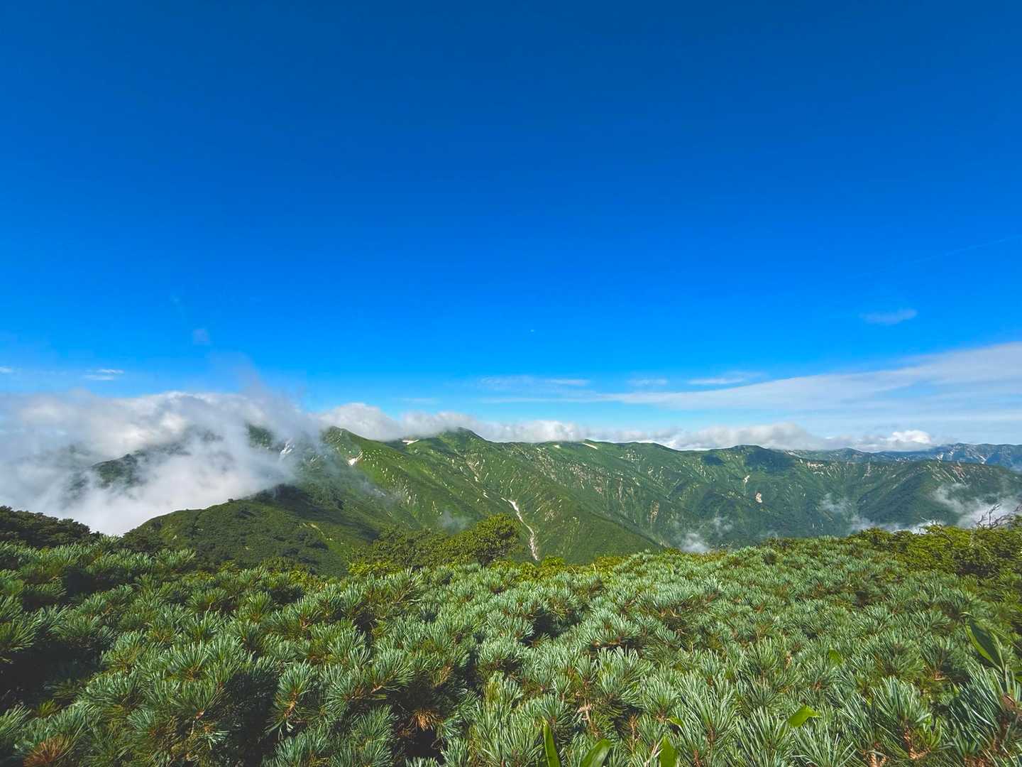 古寺鉱泉登山口-古寺山-小朝日岳 往復コースの写真