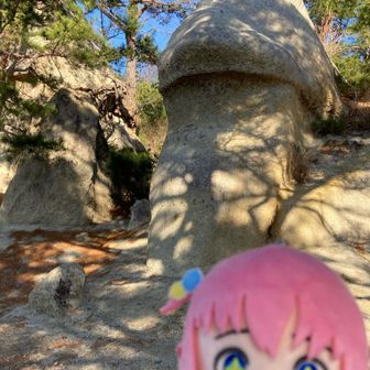 記念にハイぼっち📷