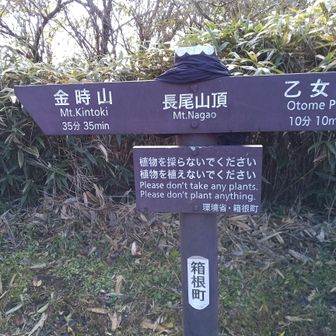 地味な長尾山頂。