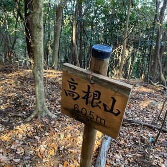 1ピーク🤣景観なしっ