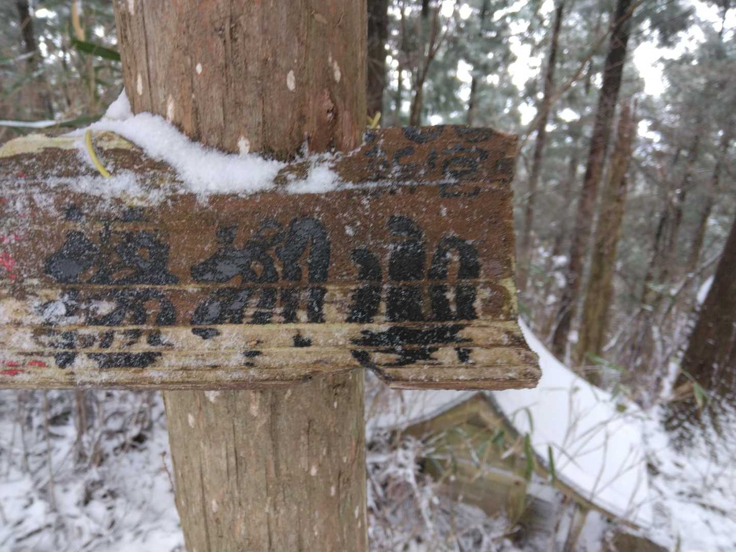 「楊柳山」ようりゅうさん
雪を払いのけたら山頂名出没😃
高野三山の最高峰 1008.5m