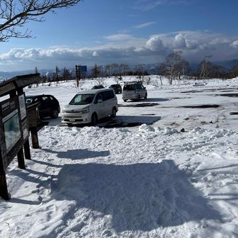 晴れ予報だったからたくさんの人が歩きにくるだろうなー、と思ってたんだけど、そうでもなかった😅
みなさんどちらへ行ってたのかしらん。