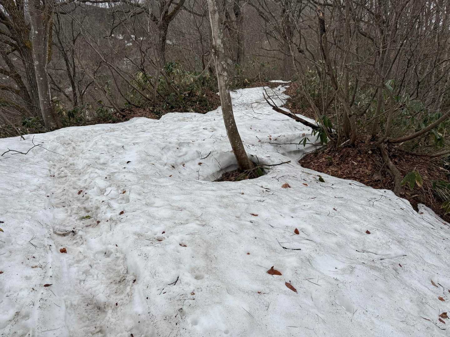 でもこの後雪道😂