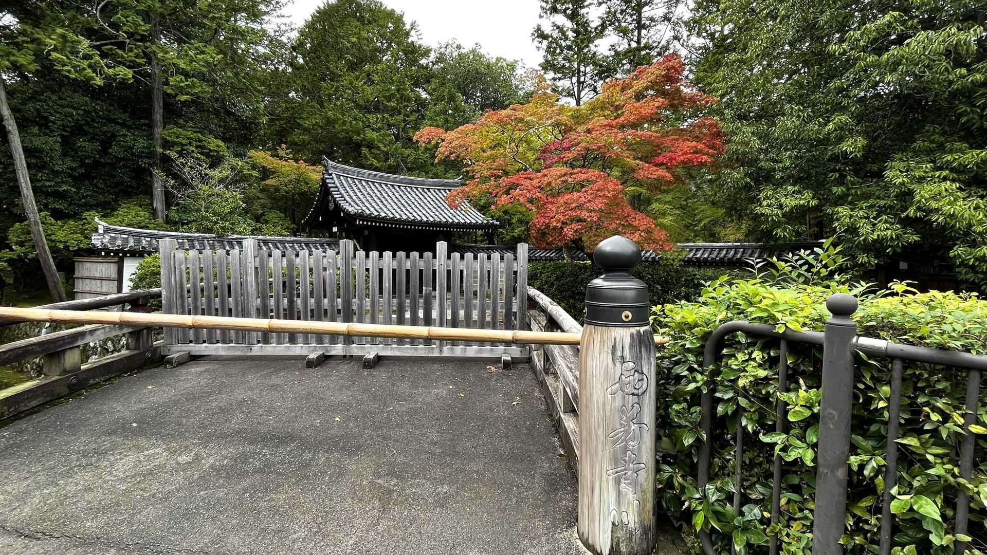 西芳寺（苔寺）の前を通って🍁✨