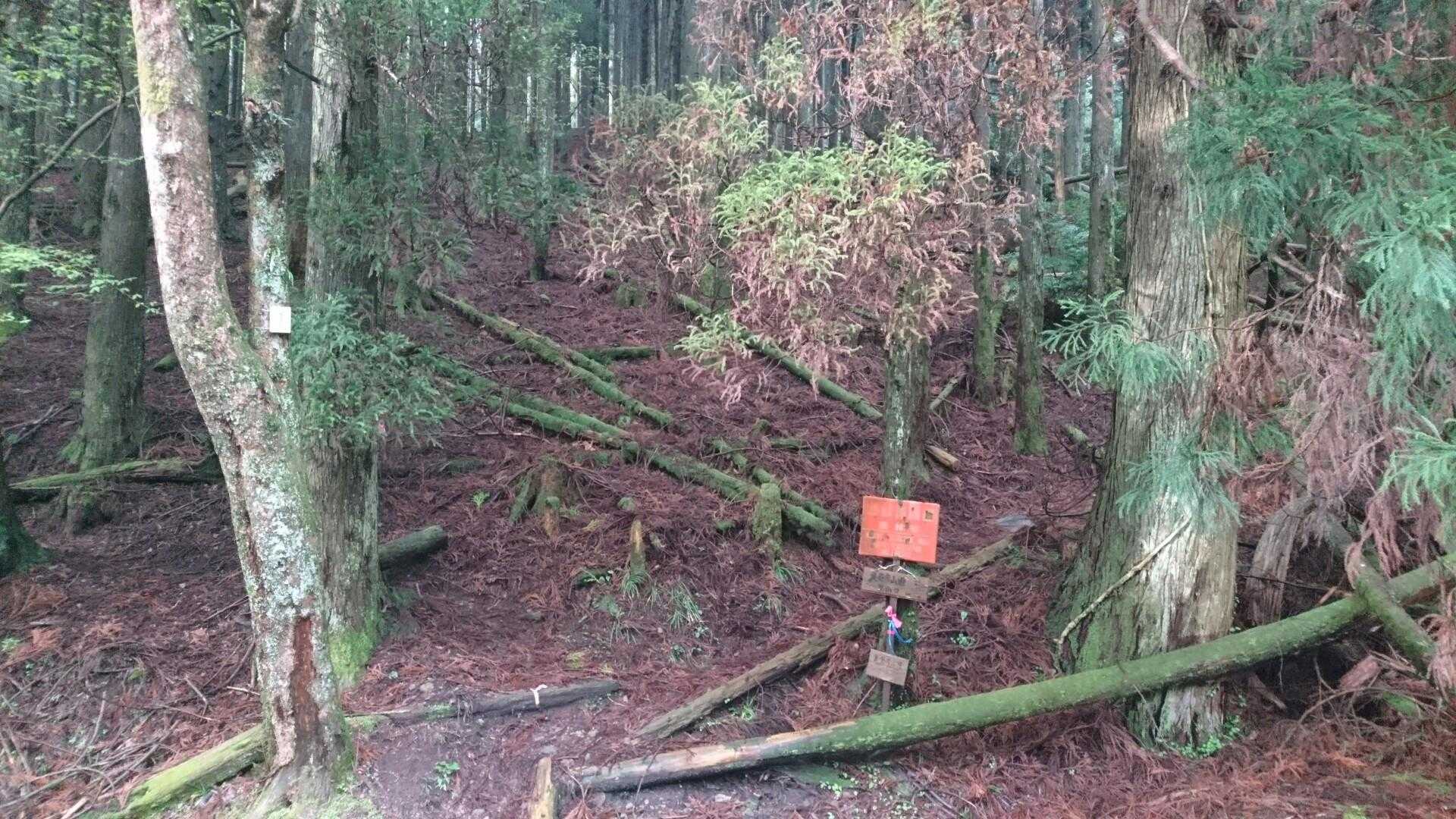 裏英彦山へ