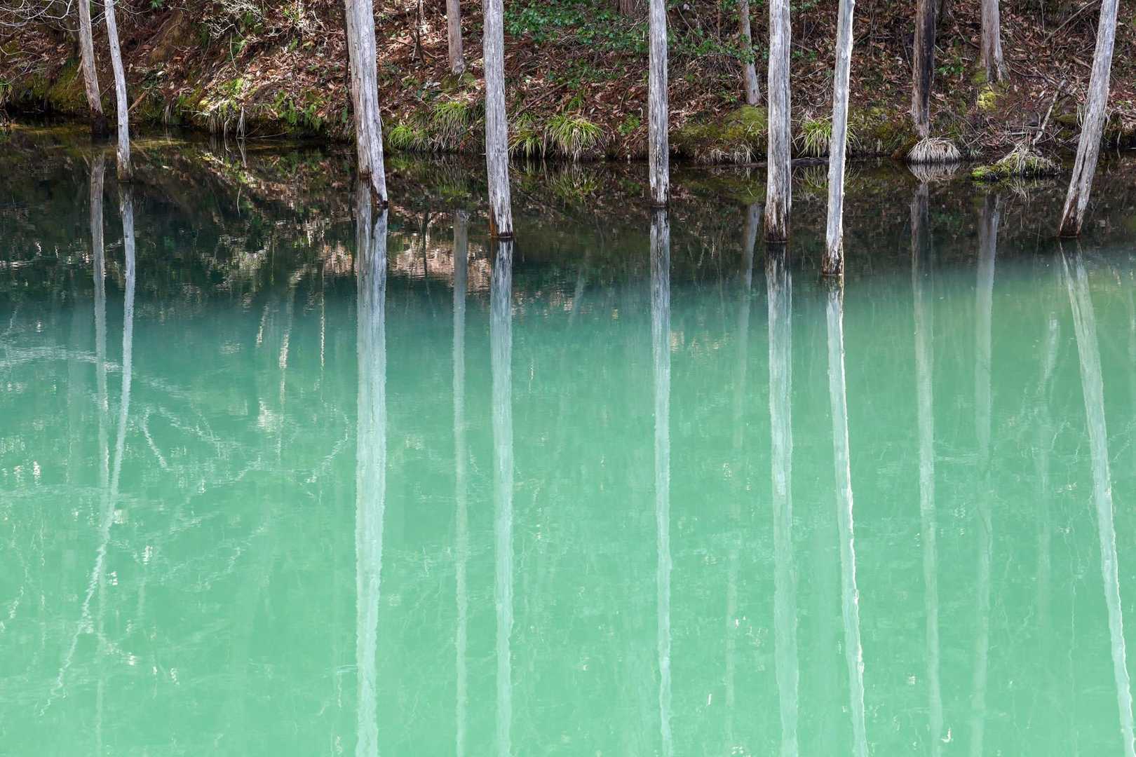 目と心の保養の後は
急登の山へ💦