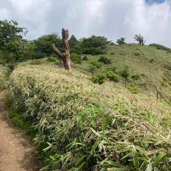 戻ります。