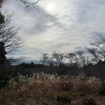 少しずつ晴れてきました