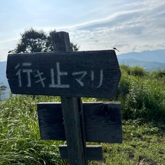 行き止まりの看板の裏に