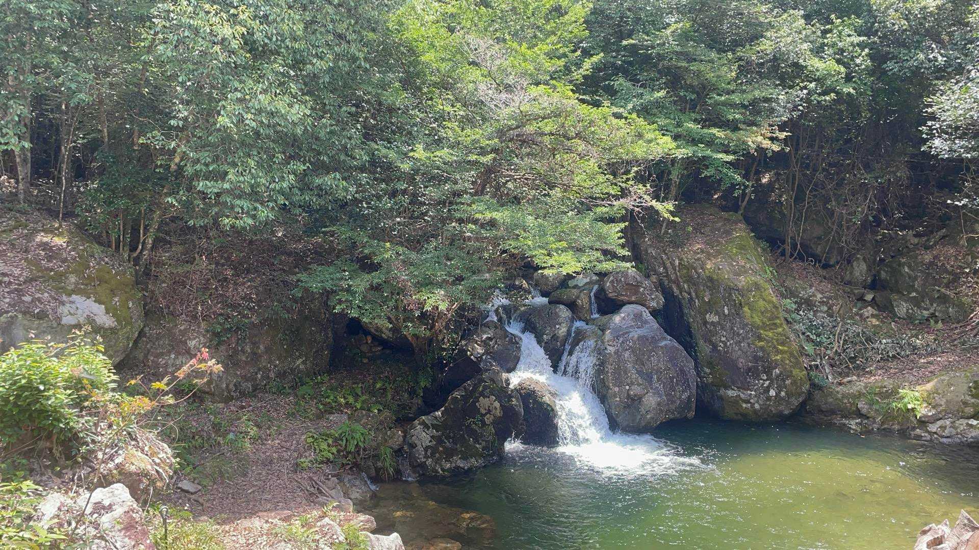 登山口ちょっと行ったところに駐車場🅿️あり
既に5、6台車停まってた

私たち以外にも登る人いるんだ〜
結局誰にも会わなかったけど