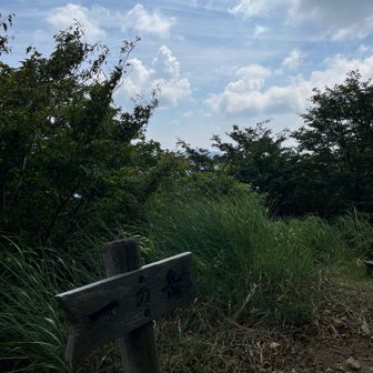撮り忘れてたので下山でパシャリ📷
しっかし暑いです🥵
よくもこんなに汗が出るもんだ💦
