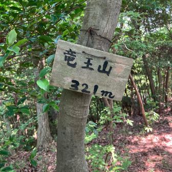 竜王山⛰️山頂