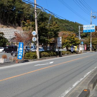 道の駅両神温泉薬師の湯