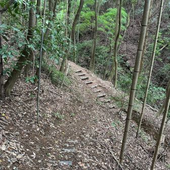 左方向に進むと…正規登山道と合流…♬