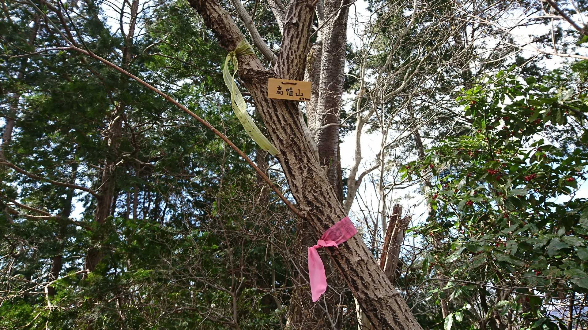 ちっちゃい山名板…