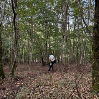 あっ！富士箱根トレイルを整備されてる方
前回もお会いしました😃