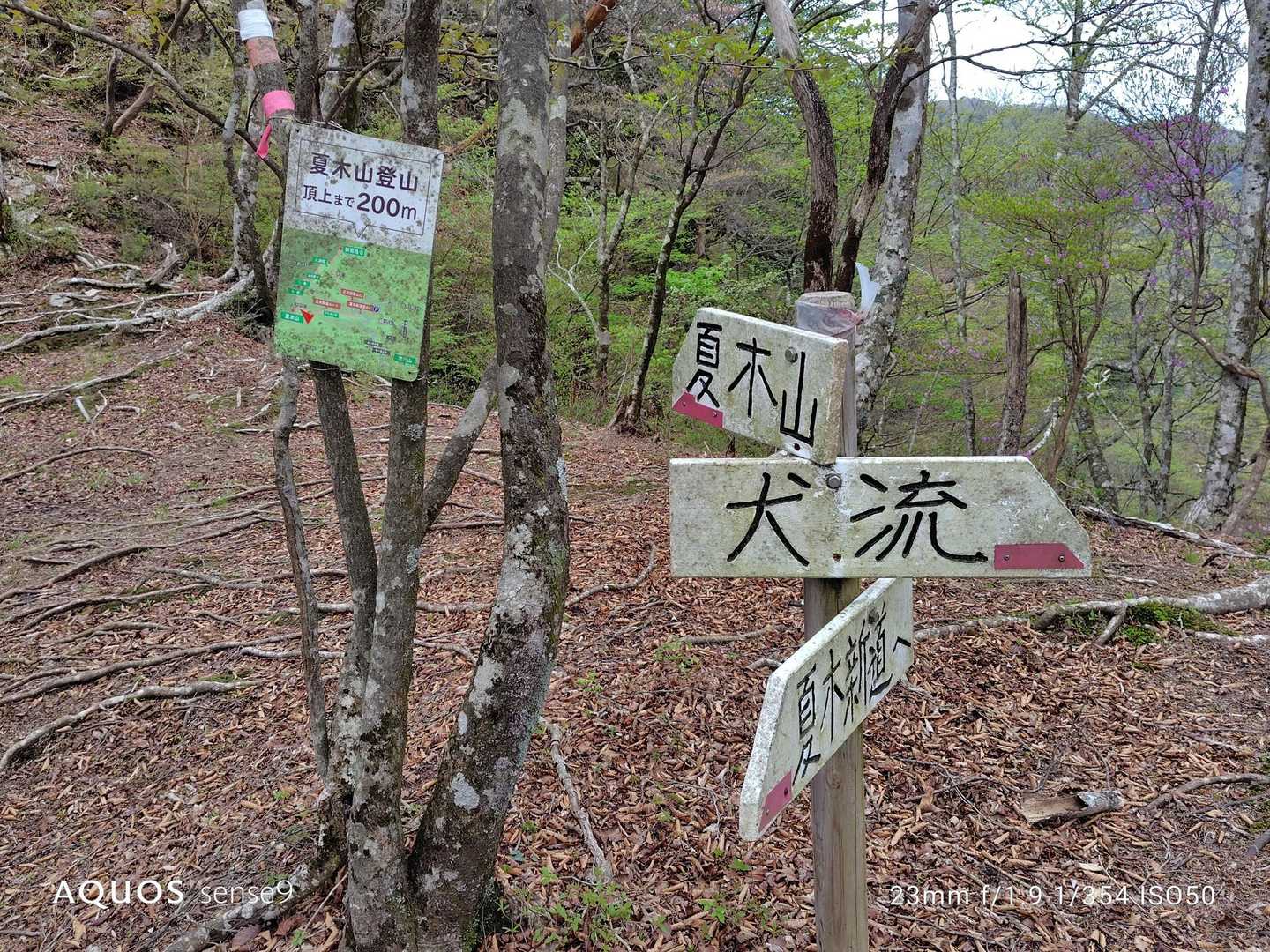 夏木新道登山口-夏木山-鹿の子山-五葉岳 往復コースの写真