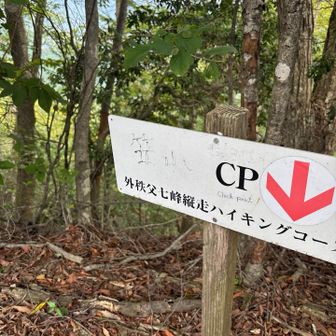 YAMAPではここ？
てか死ぬほど熱い💦💦💦
久しぶりに耳がほてる感覚🥵
