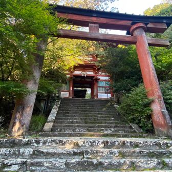 もうこの辺は疲れ果ててた（笑）