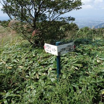 上野越へ