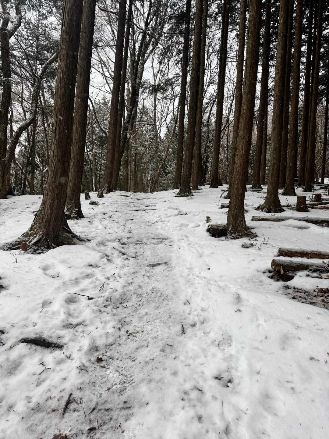 雪