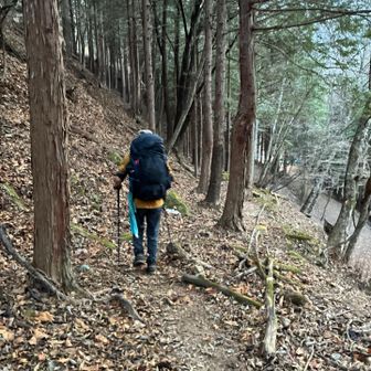 また少し登山道っぽくなったりで