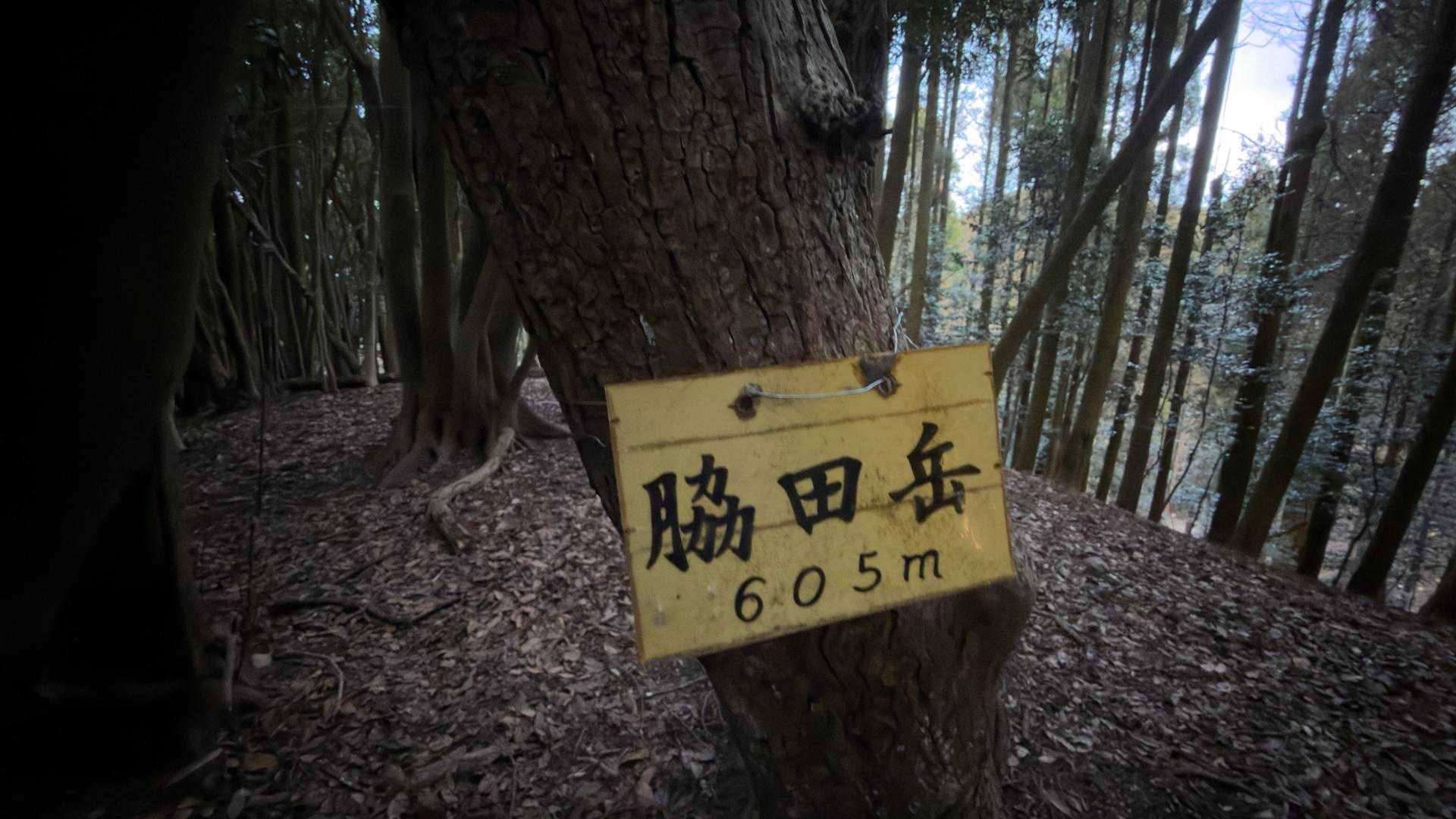 一年ぶり着。
さて戻ろう。