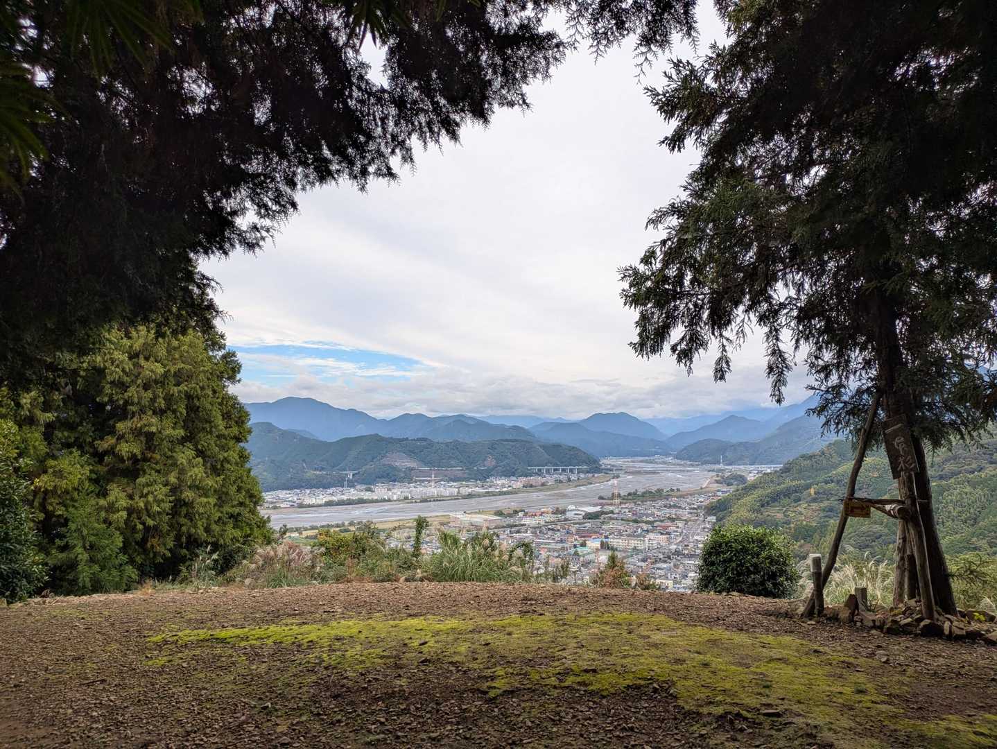 大好きな場所　一本杉