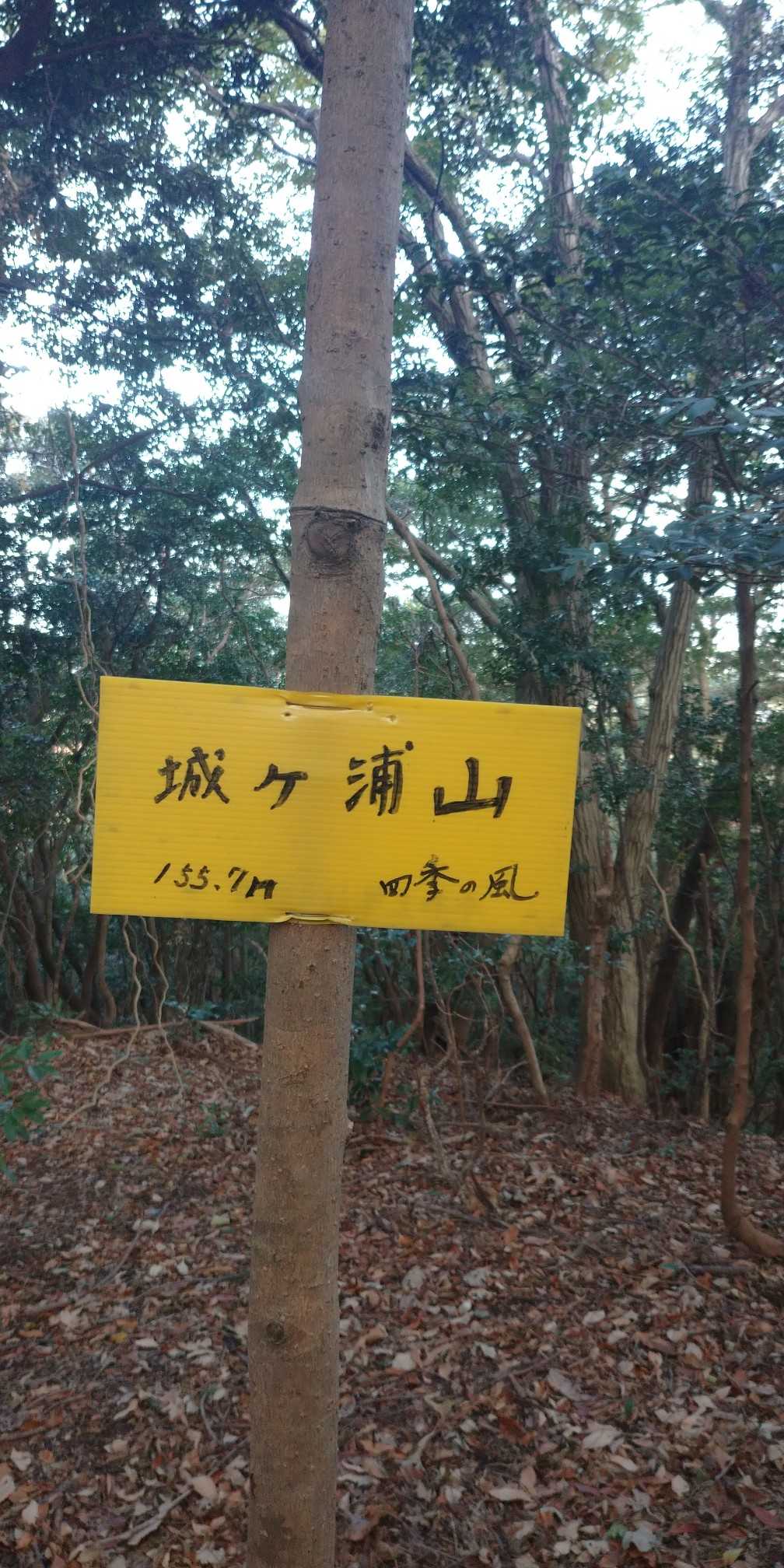 程なく到着