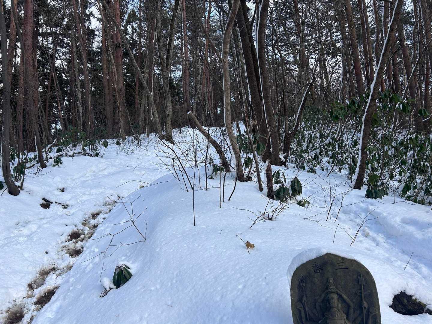 いつもの前岳ですが、日の光がさすとwktk!