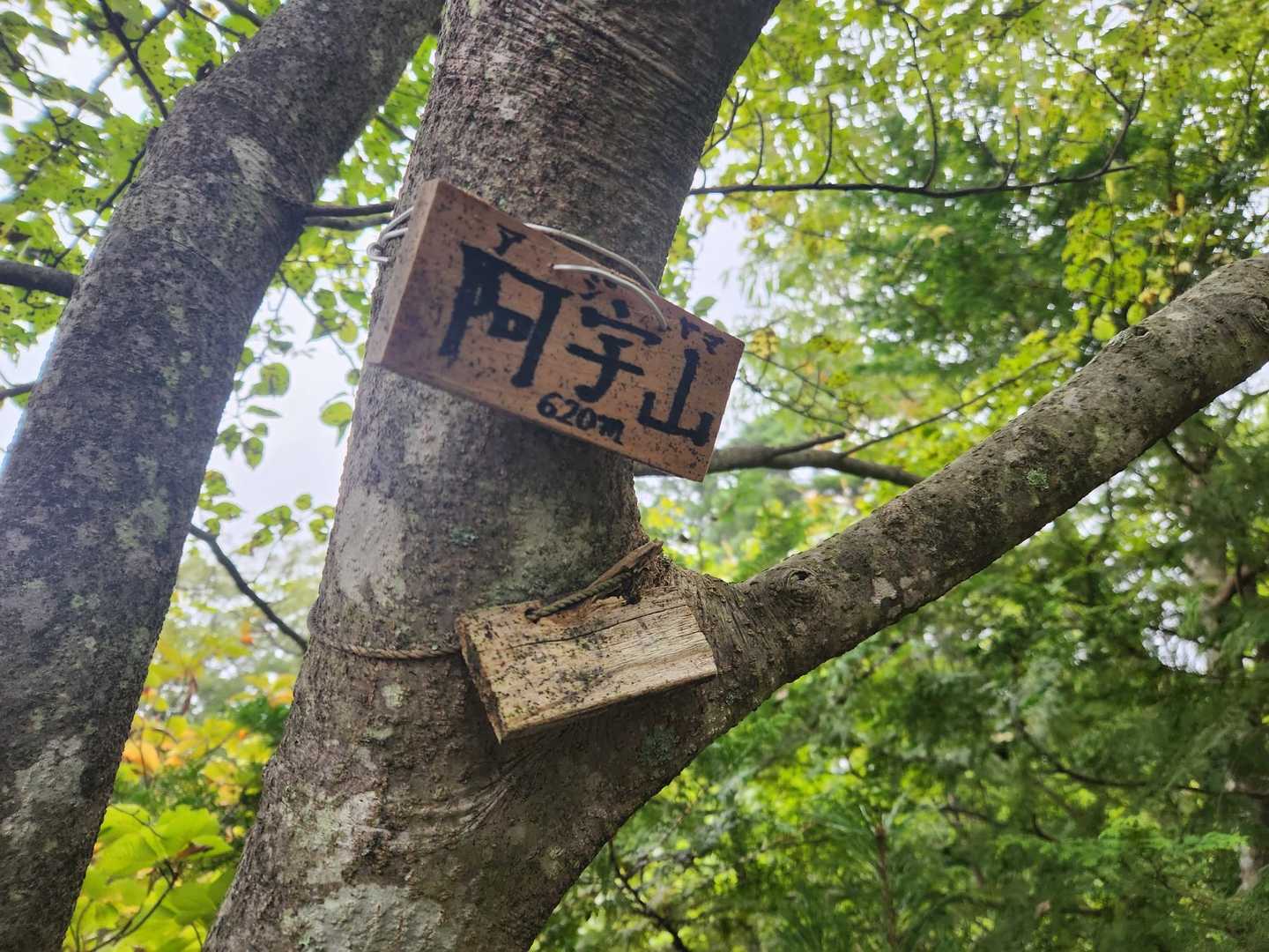 すぐ登頂。