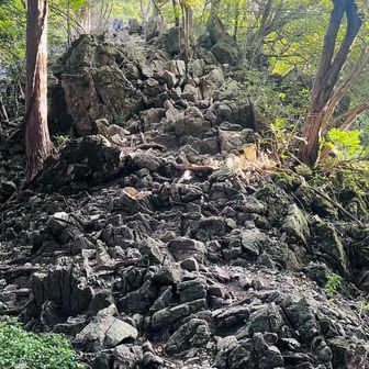 登ります