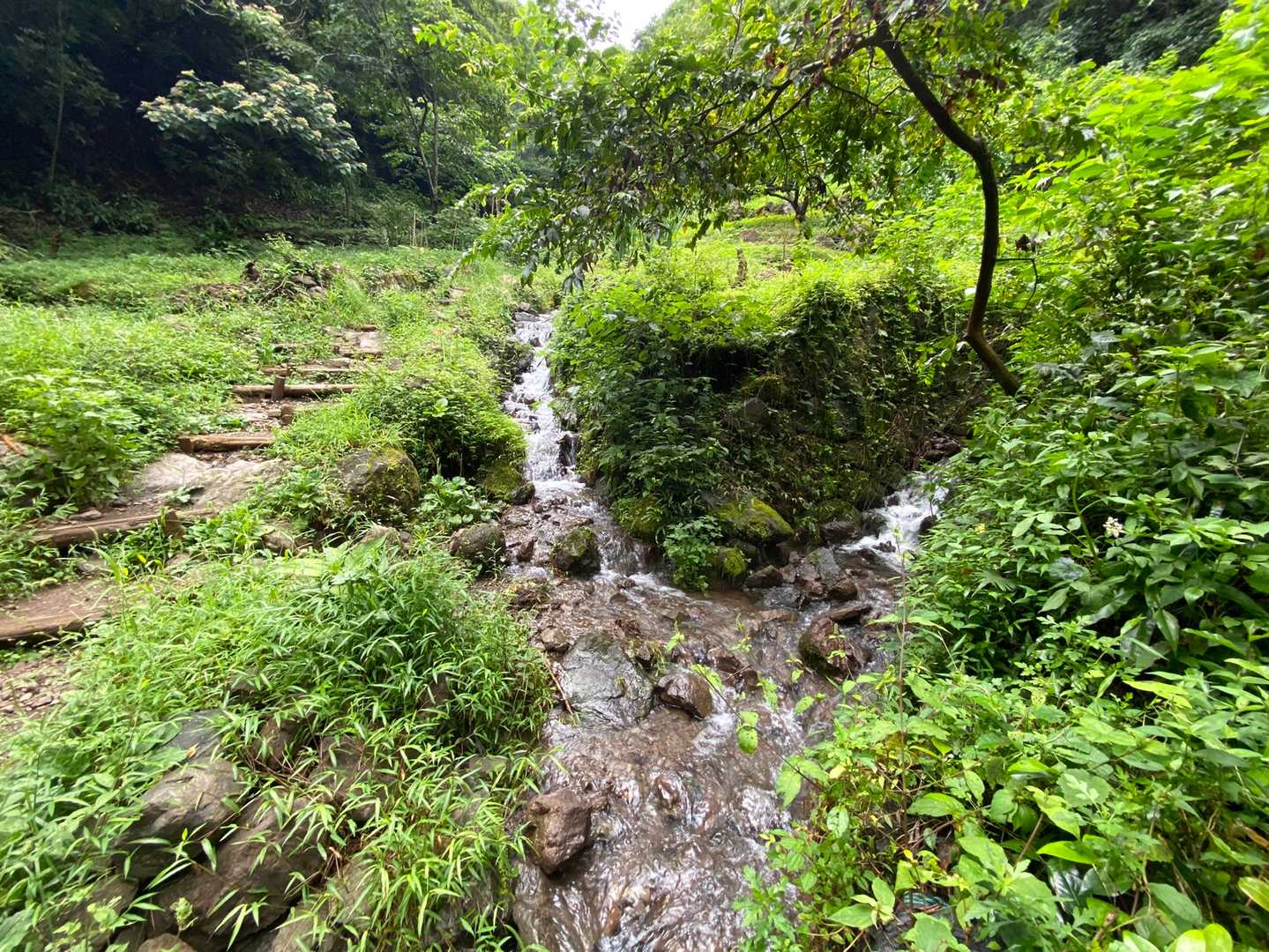 満観峰 往復コースの写真