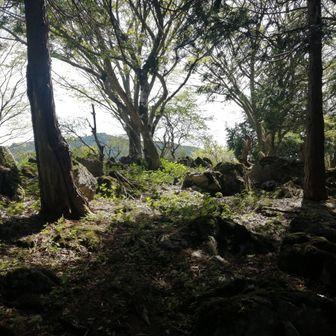 威徳山山頂。
山頂標も何もないです。