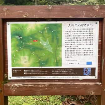 ここから先、高層湿原八丁平に入っていきます。