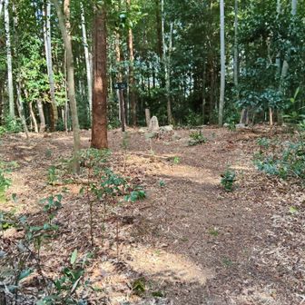 山頂の様子　眺望なし。