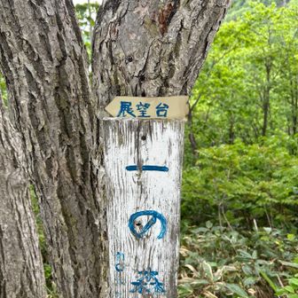 この展望台によって見たよ、景色は頂上には勝てないかな