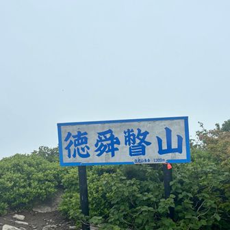 やっぱり真っ白😅雨降って来たー🤣haluさんの標識はもうないのね😩良かったのにイ...帰ります〜