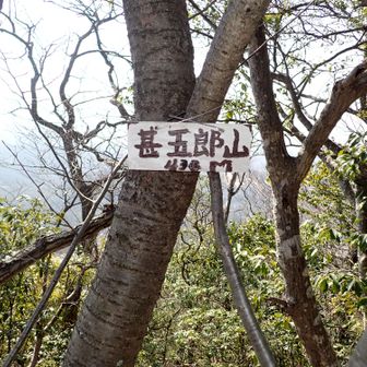 標高430ｍ　甚五郎山に寄り道