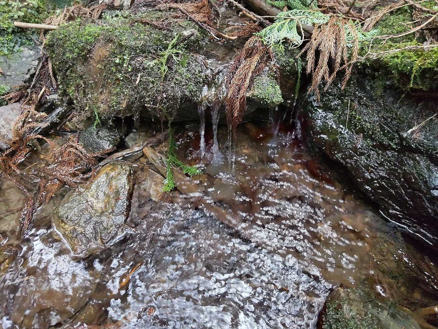 沢  渡りあり😁