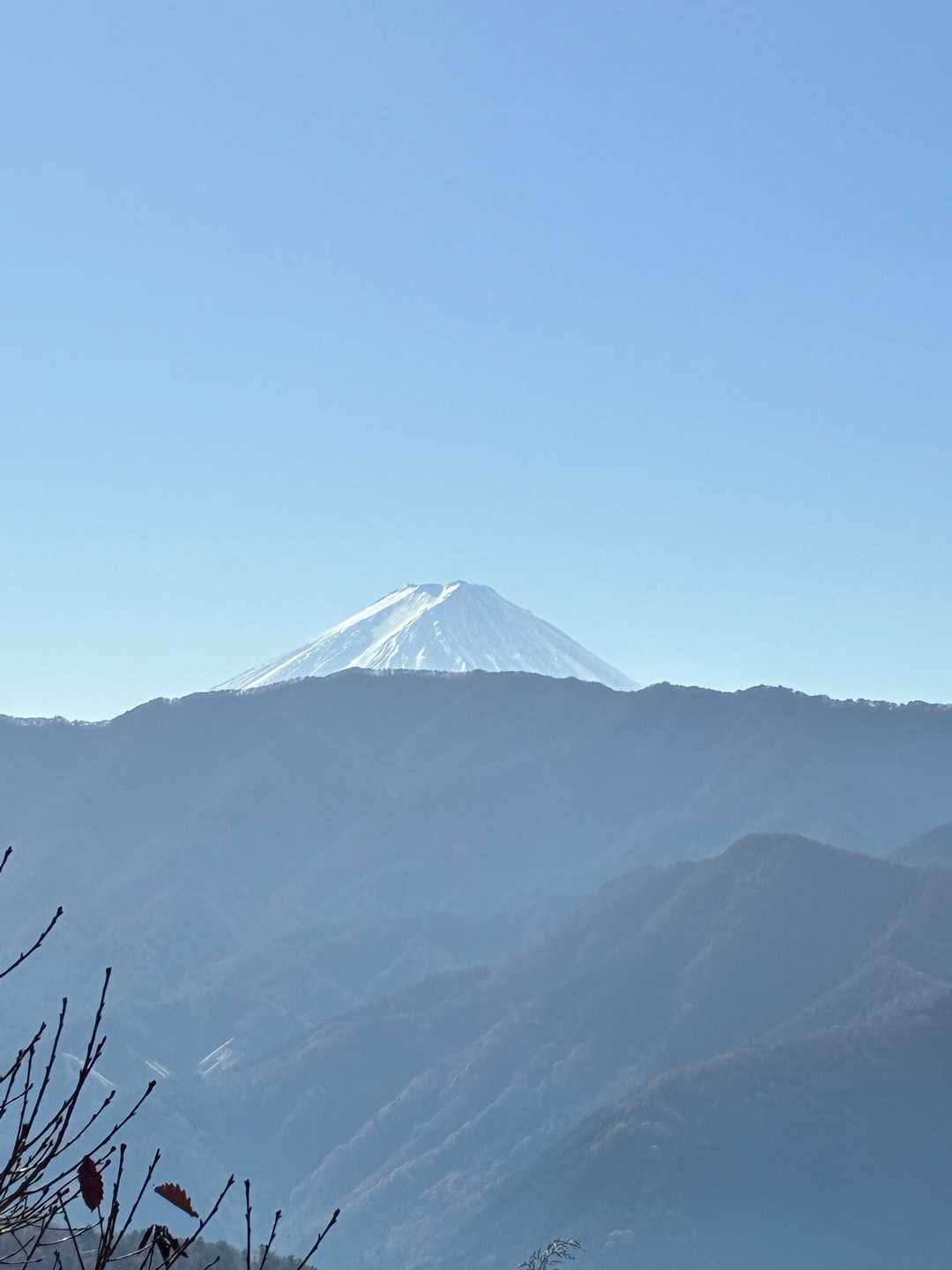 頭しか見えなくなった〜