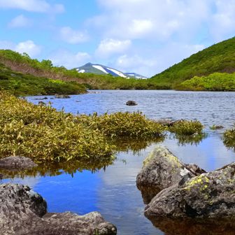 シャクナゲ沼　中央の山は目国内岳