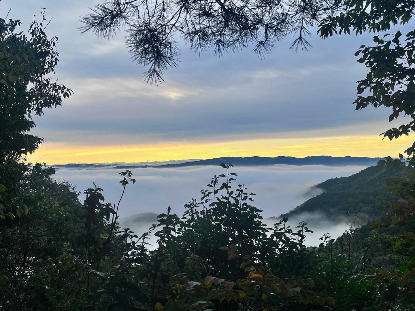 春日井市野外教育センター-道樹山-弥勒山 周回コースの写真