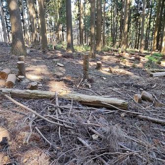 イモジ山のヤマップ上のポイントはこの辺ですね。