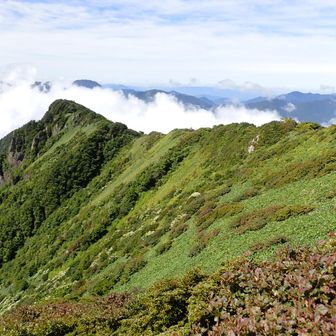 男山