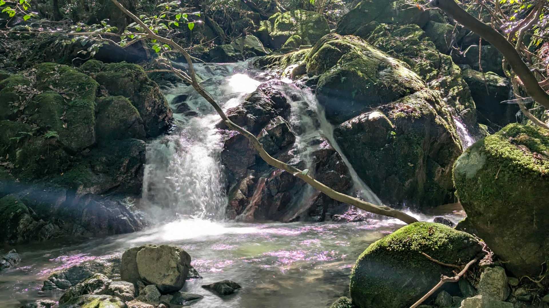 金山-アゴ坂峠 往復コースの写真