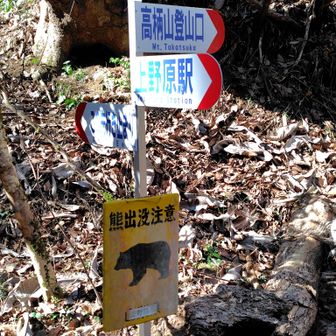 下山したら、クマ注意の看板。そういえば、クマらしき糞がありました