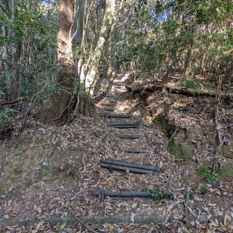 気を取り直して、愛宕神社登山道で登っていきましょう。